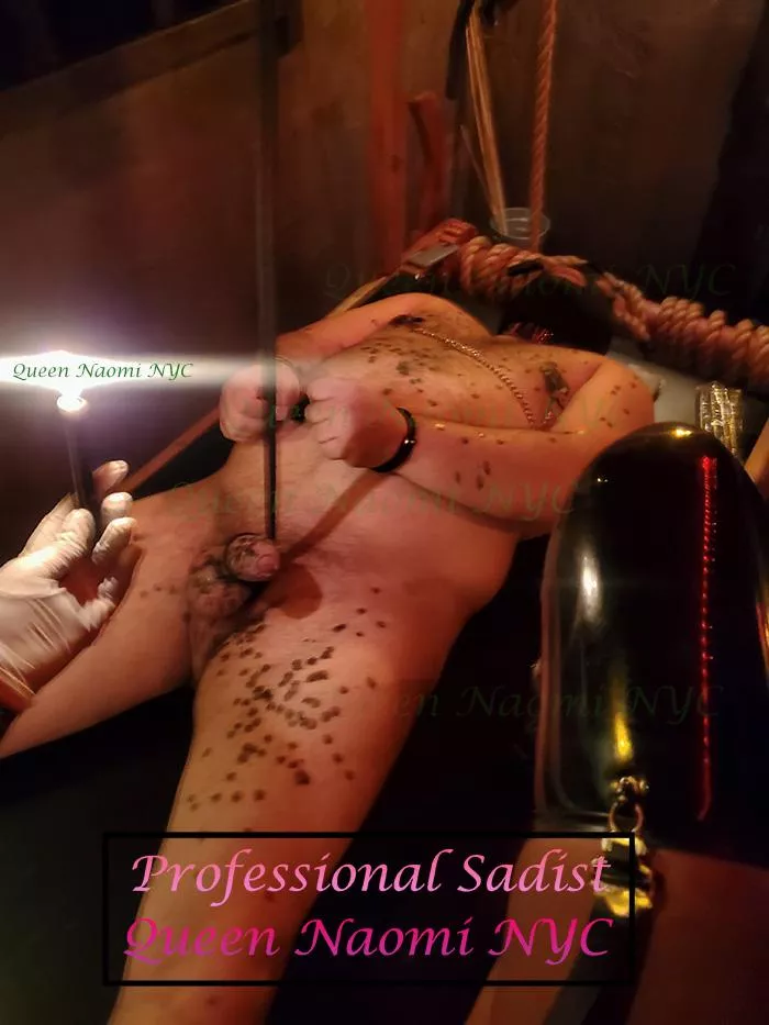 QueenNaomiNYC1[Domme] posted by QueenNaomiNYC1