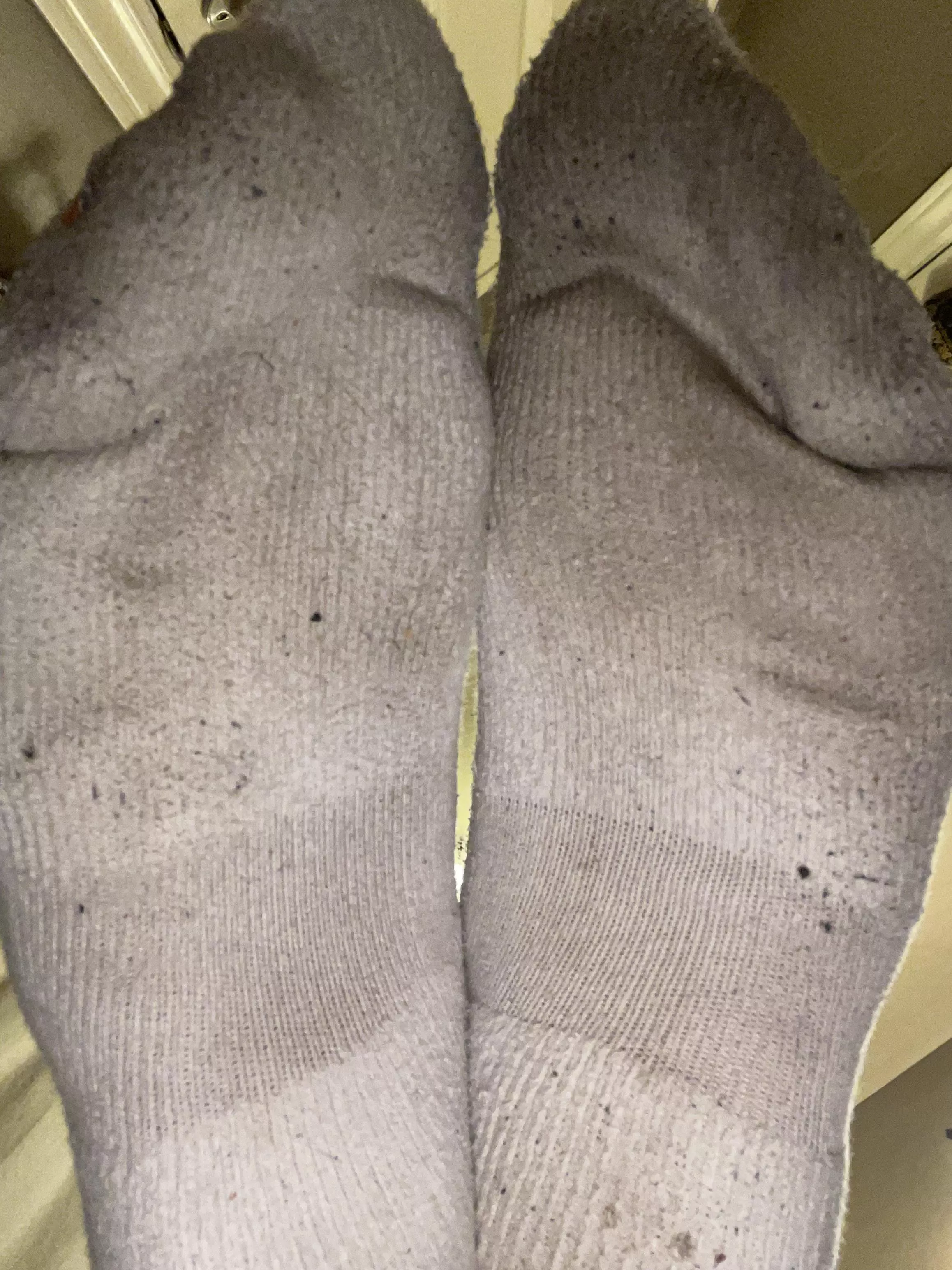 [selling] I know the perfect place to rest these big filthy socks [F] posted by SoftestSockss