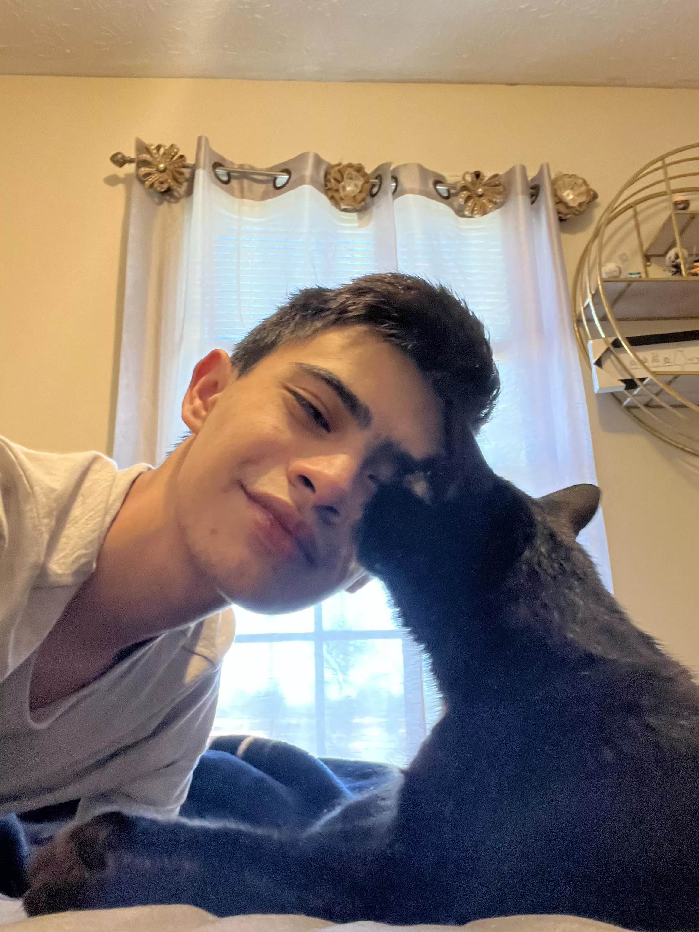 Silly cat pic posted by LeafyIsHere