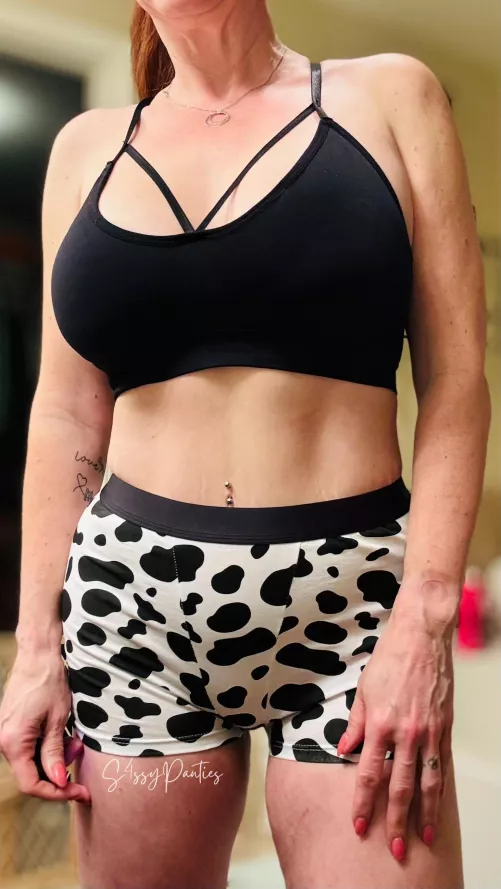Today’s panties, cow print boy shorts. $35. Currently absorbing my rest day gym sweat. Perfect if you like a lightly sweaty, grooly pair. Fet friendly, 40ish redhead nextdoor type. [selling][usa] by S4ssypanties