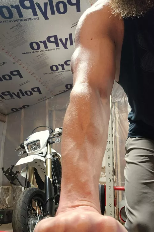 Wanna ride? by Mattitude43