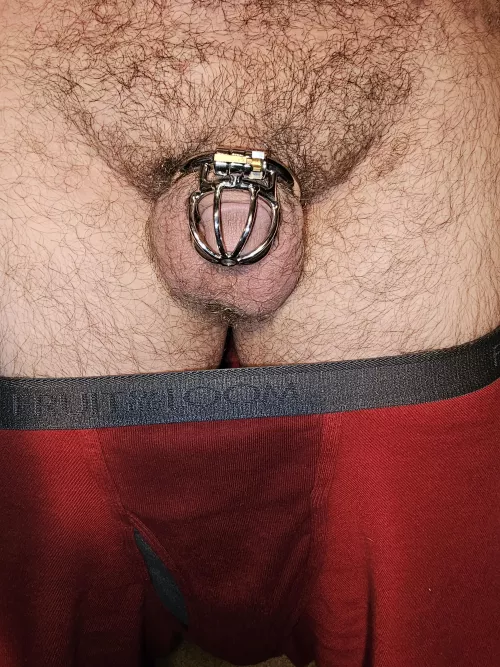 Who else likes chastity? by Tinydickfagorlfl