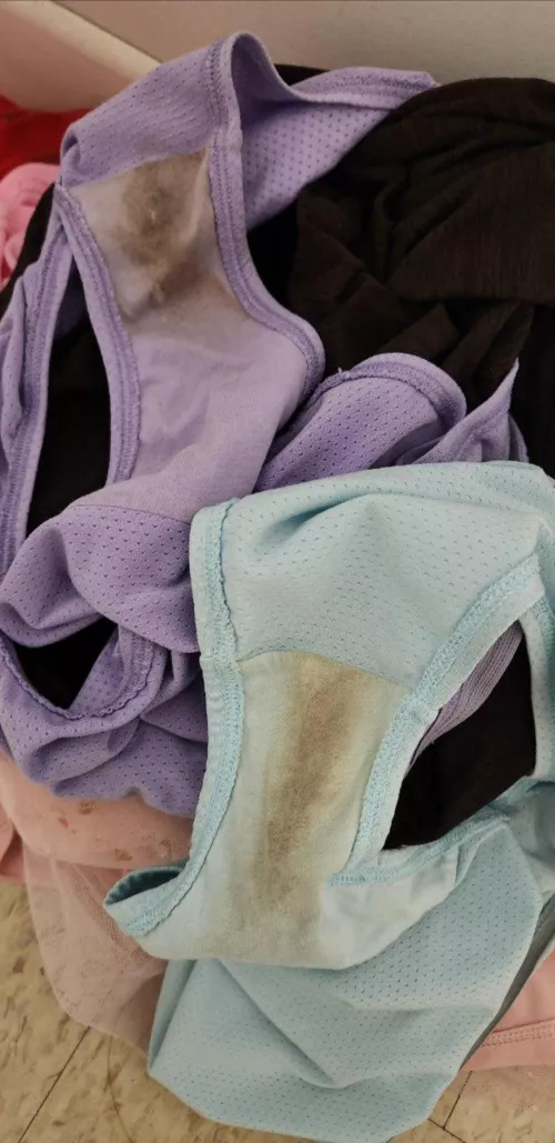 Wife's musky panties by Final_Combination343