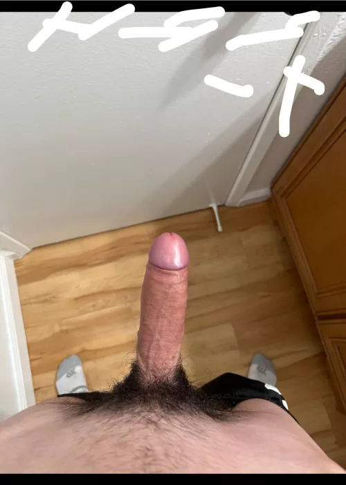 23 SoCal hmu @dacxjex by PralineStriking5409