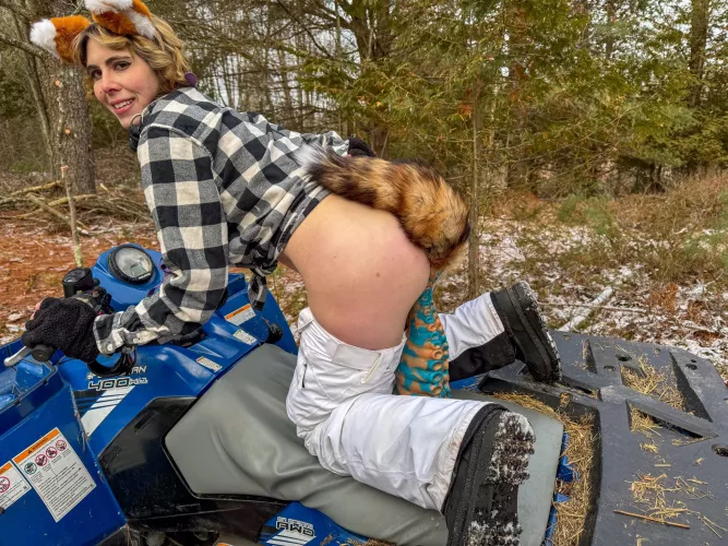 A fox and her toys by Tinkertoys69