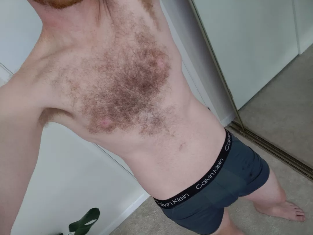 Anyone want to run your hands through my chest hair? Or maybe just my lick my pit? posted by TheMarriedGinger