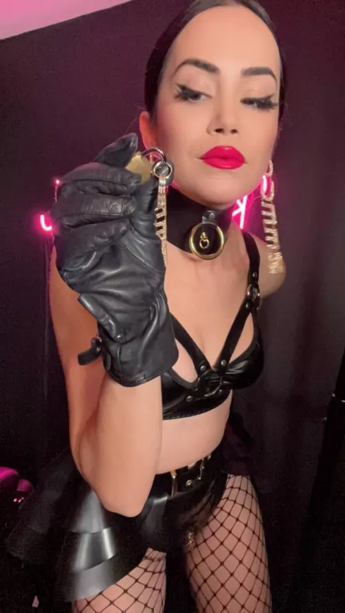 Begging won’t save you now! by soketaspf