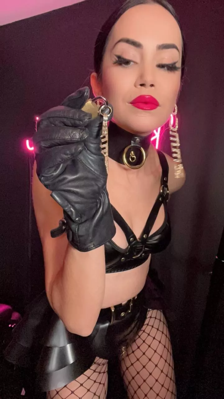 Begging won’t save you now! posted by soketaspf