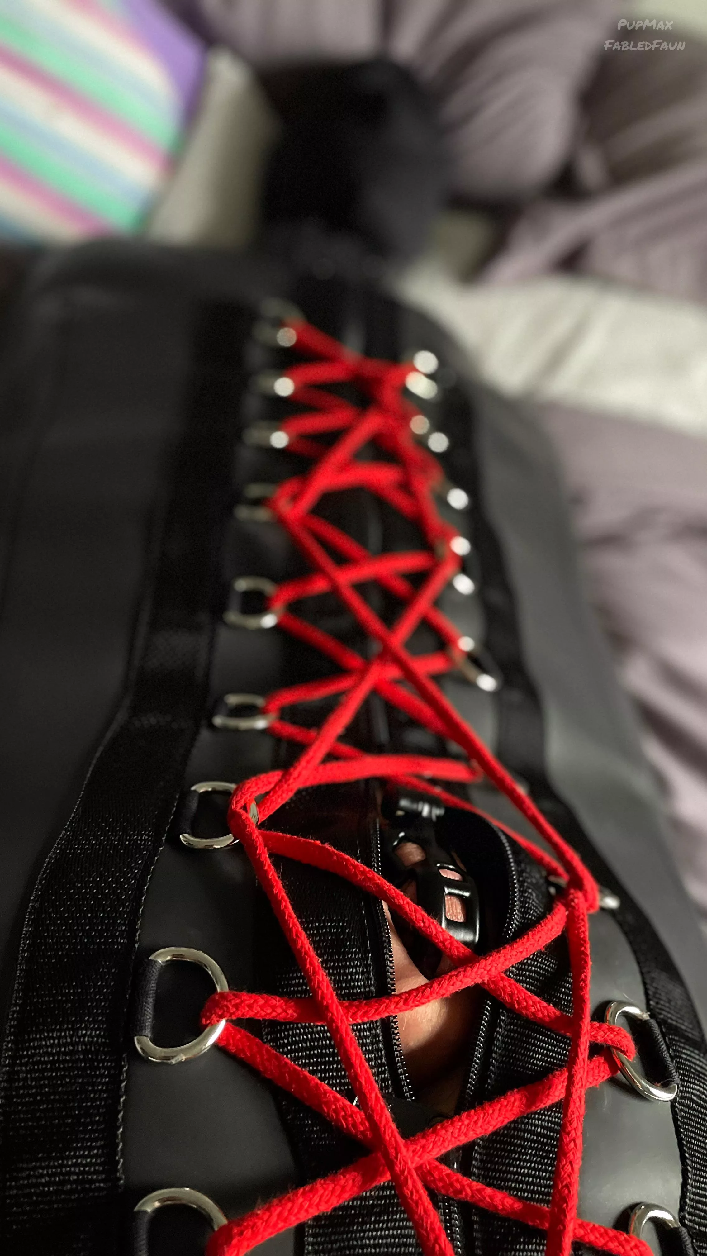 Bound in his sleep sack like a good toy 😌 posted by FabledFaun