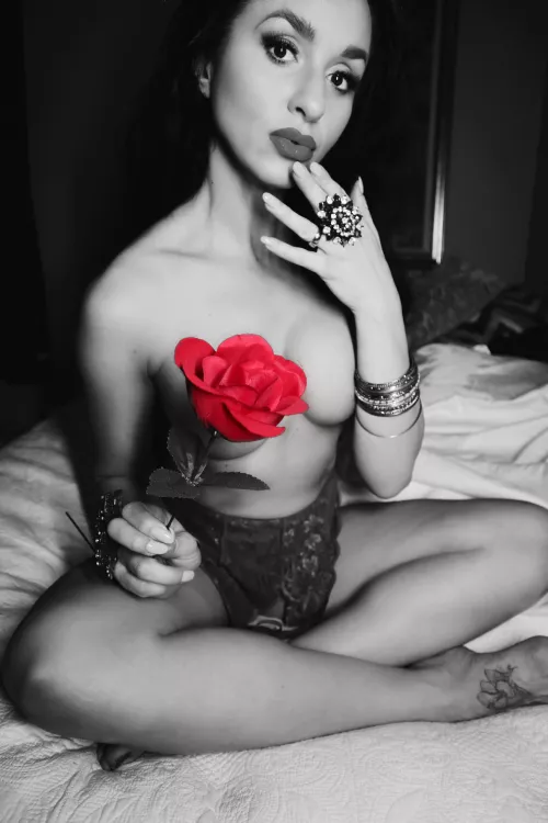 By suggestion sharing this rose by hoodyk