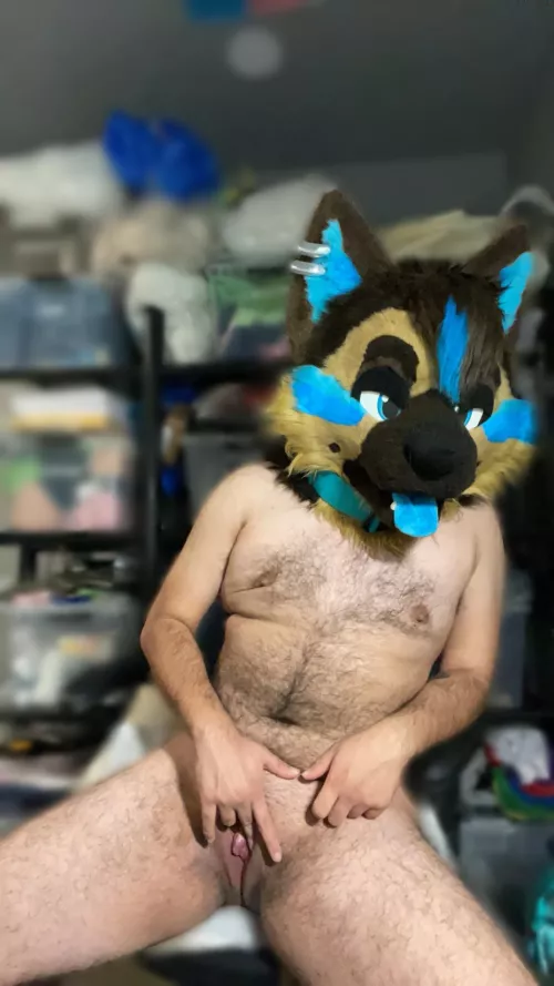 Desperate for some sucking by Hornypuppymutt