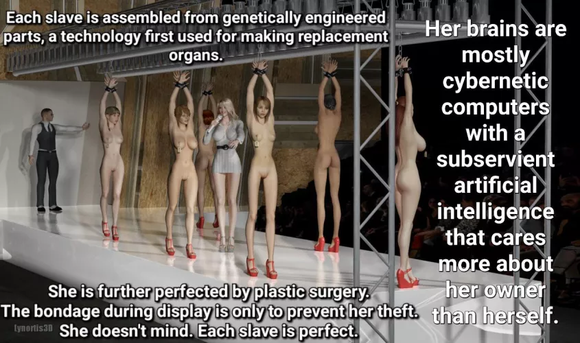 Each slave is perfect. by PokerPlayer23