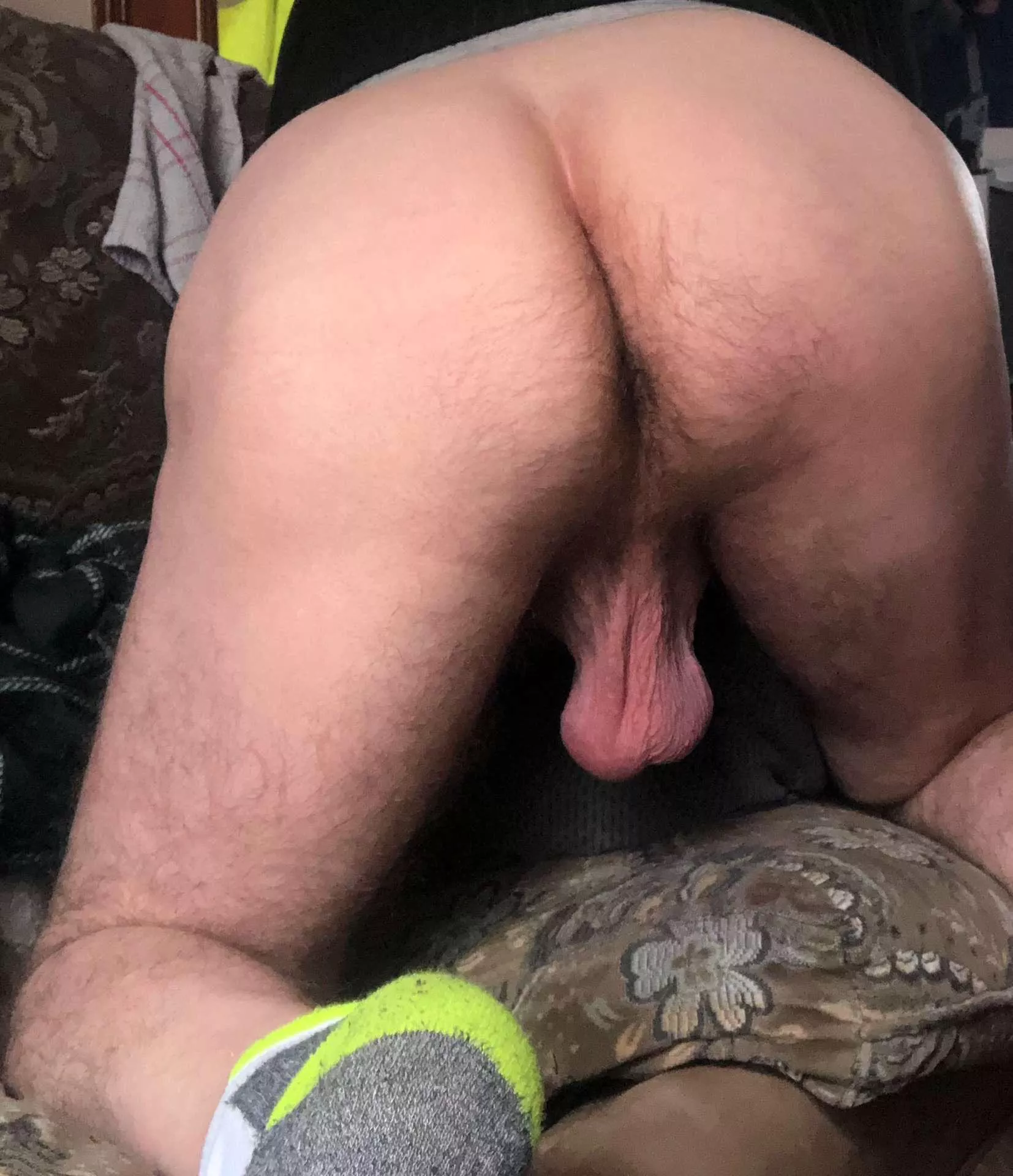 Hope you like posted by Comfortable_Pool_189