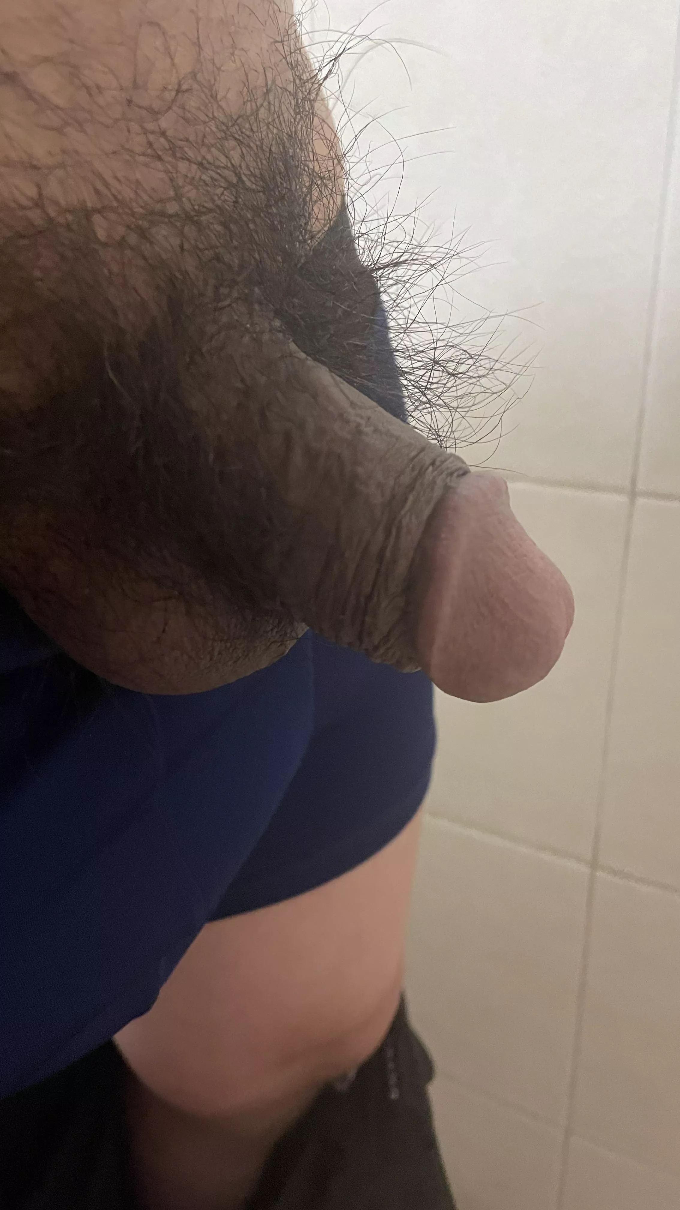 How about asian softie cock posted by Aveeno0987