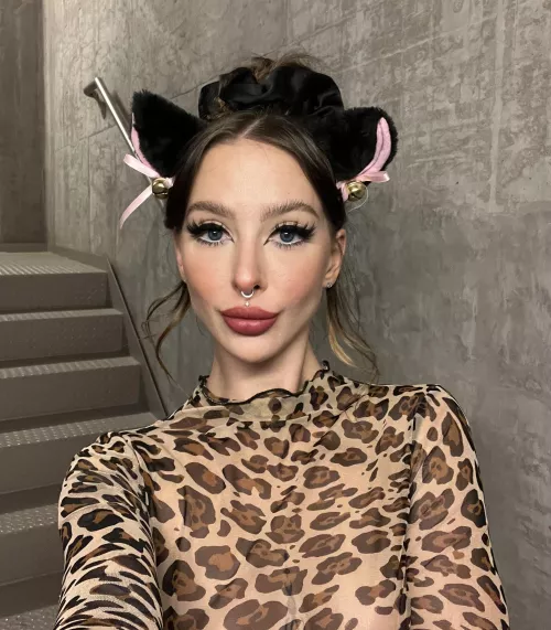 I hope you are looking for a new kitty … this one needs a home ^.^ by katchroma