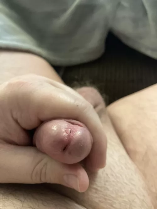 Just a little drip by Easy_Platypus_1913