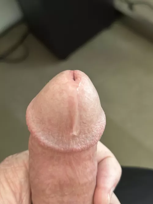 Just the start… by PreviousConflict8280