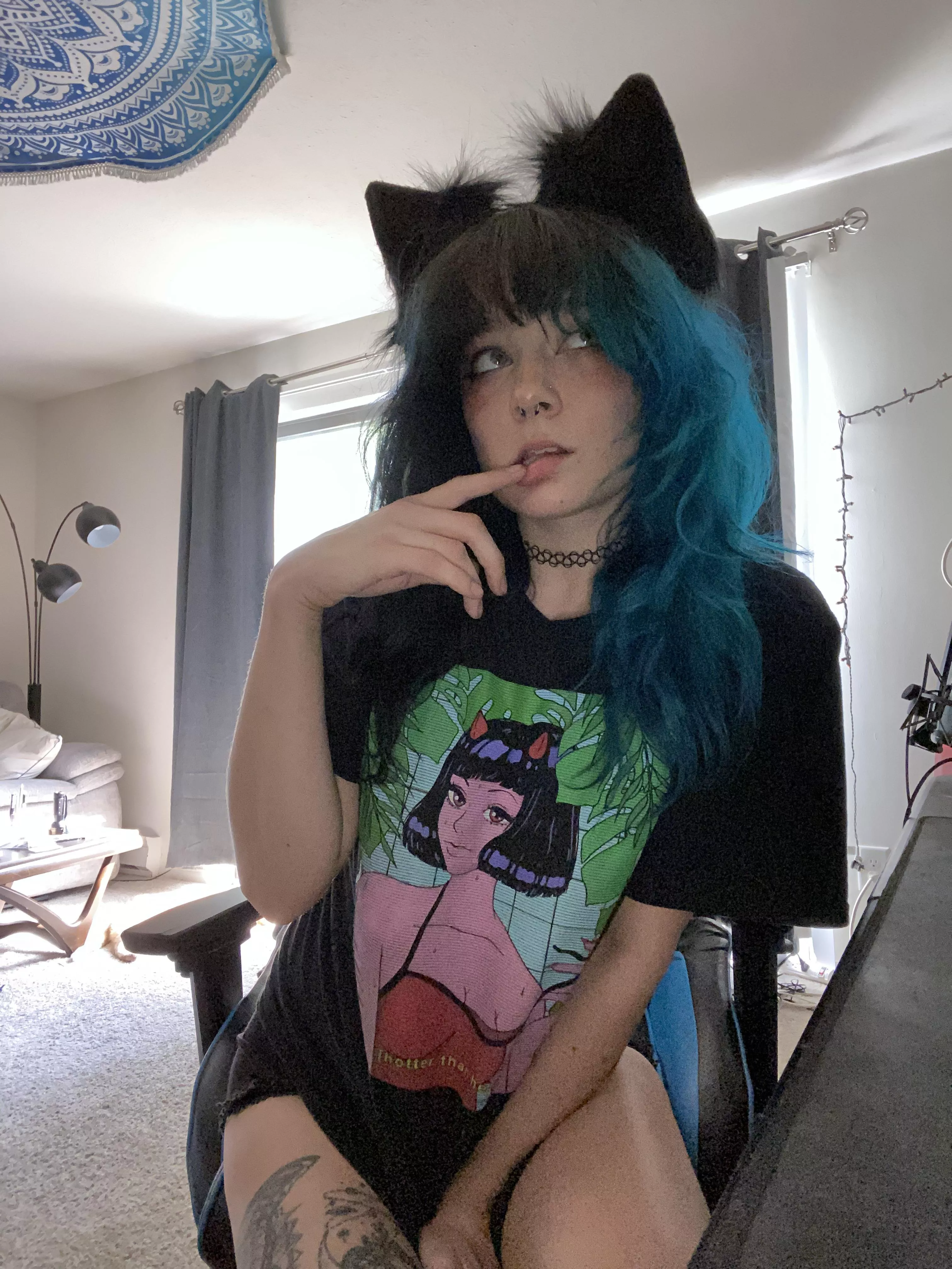 meowwww :3 posted by nekonaomie