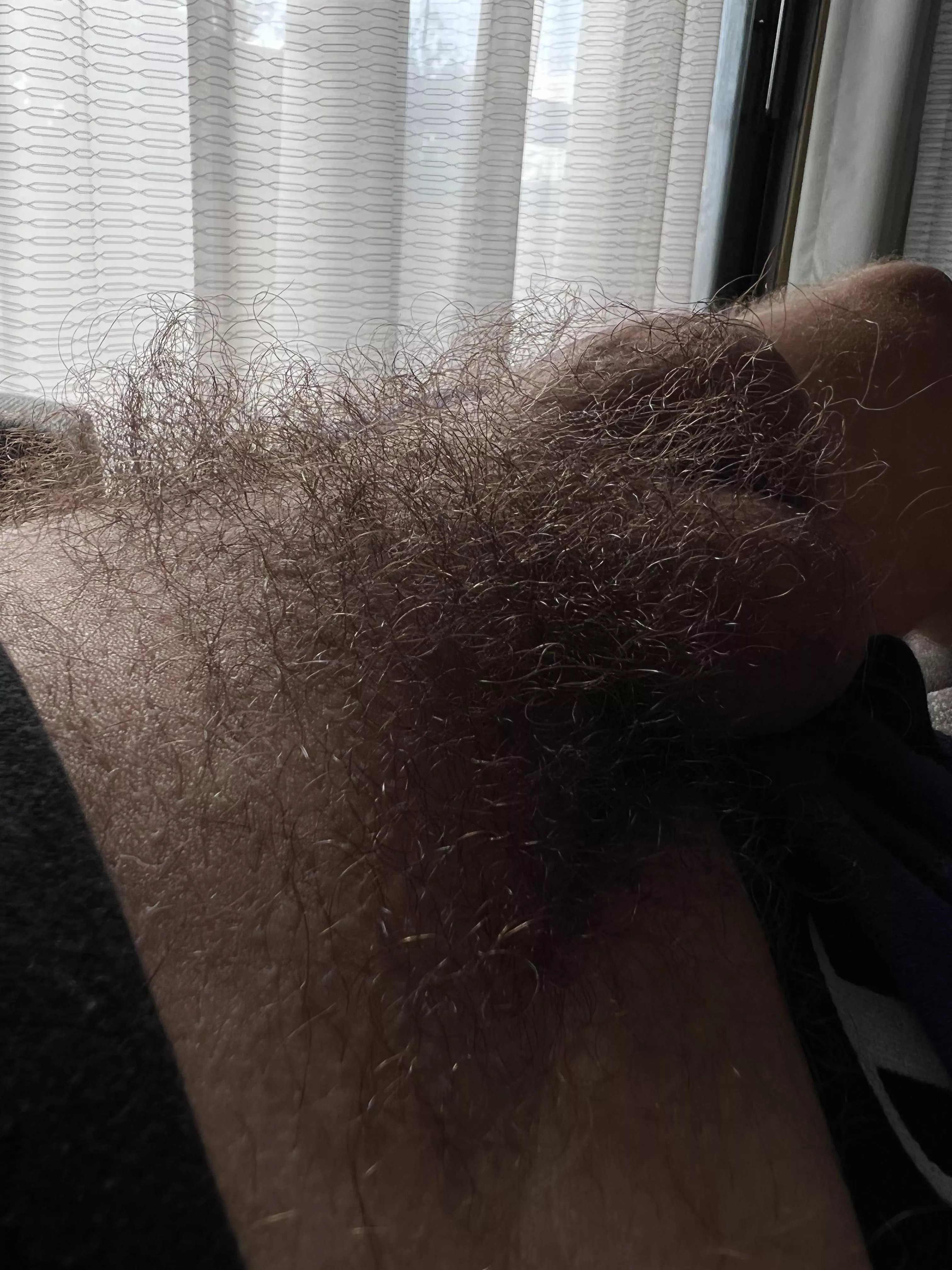 My Bulging Life posted by Select-Solution-5417