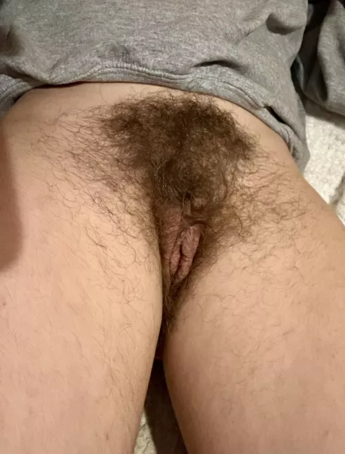 My bush keeps me warm in the winter ❄️ by tinkerbellagrl