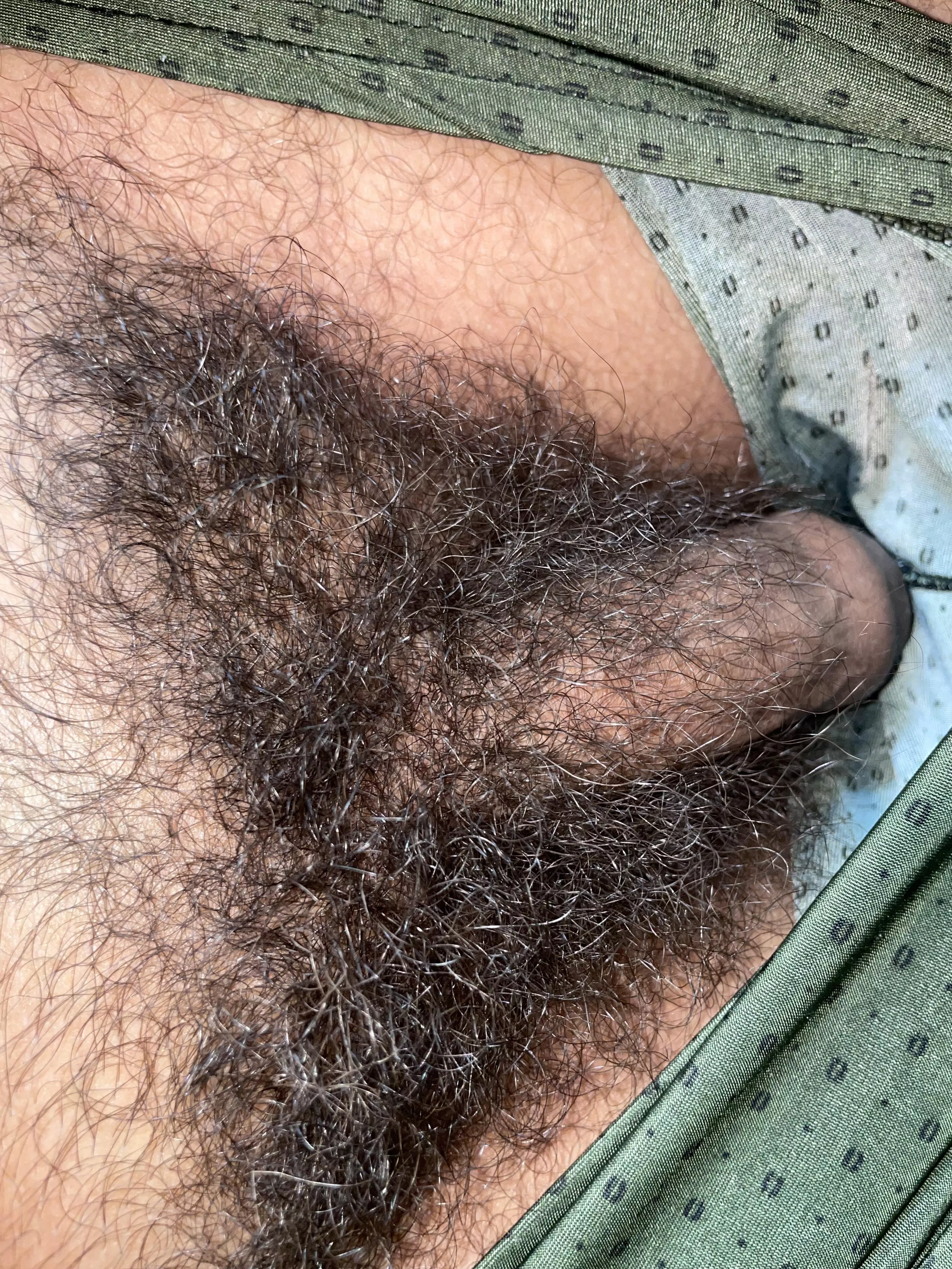 My bush today posted by Western-Ad-7803