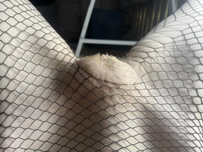My pussy mound was caught by fishnet 🥹 by RedWildcatx