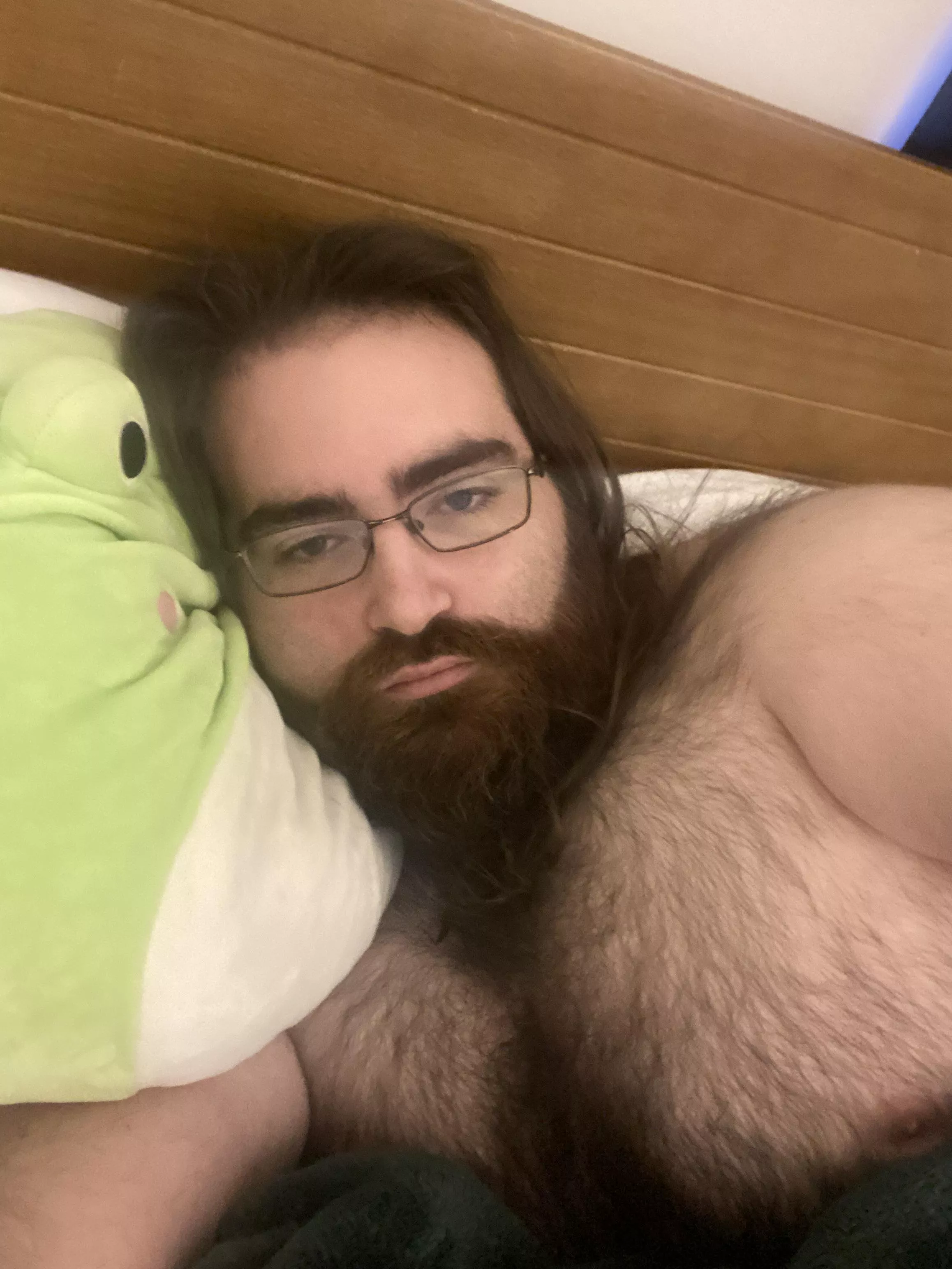 need cuddles today :( posted by Secretbeedad