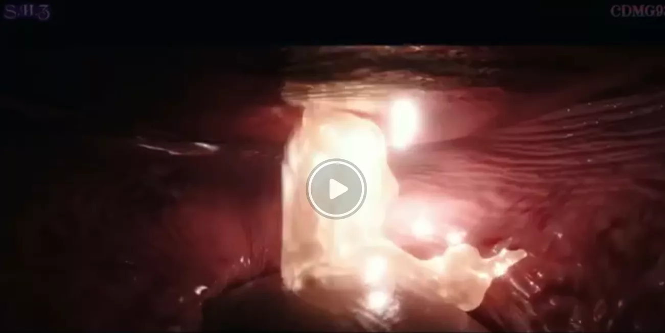 Need help with this posted by Eddard8