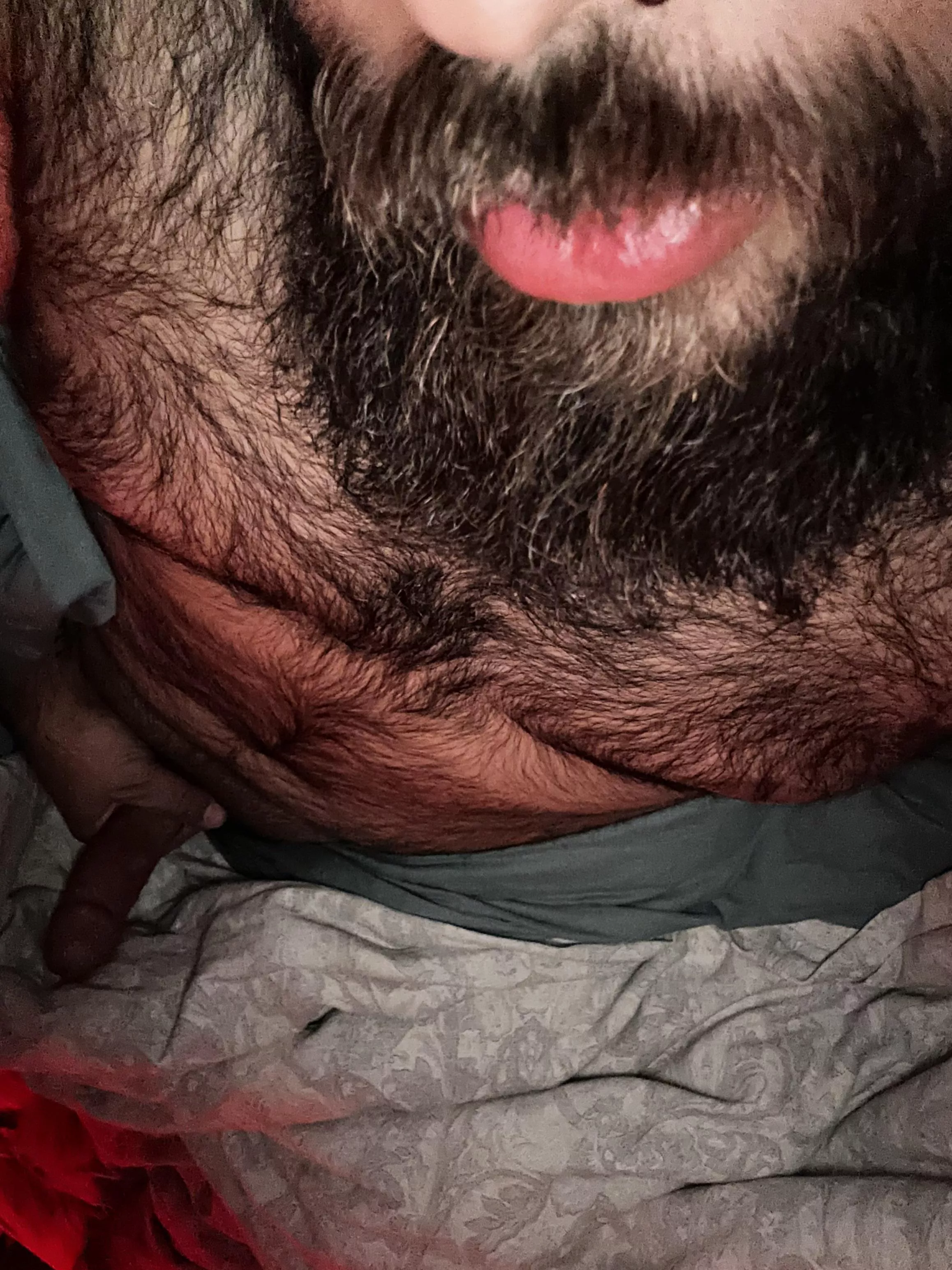 Never trimmed or shaved posted by Outrageous_Mode3690