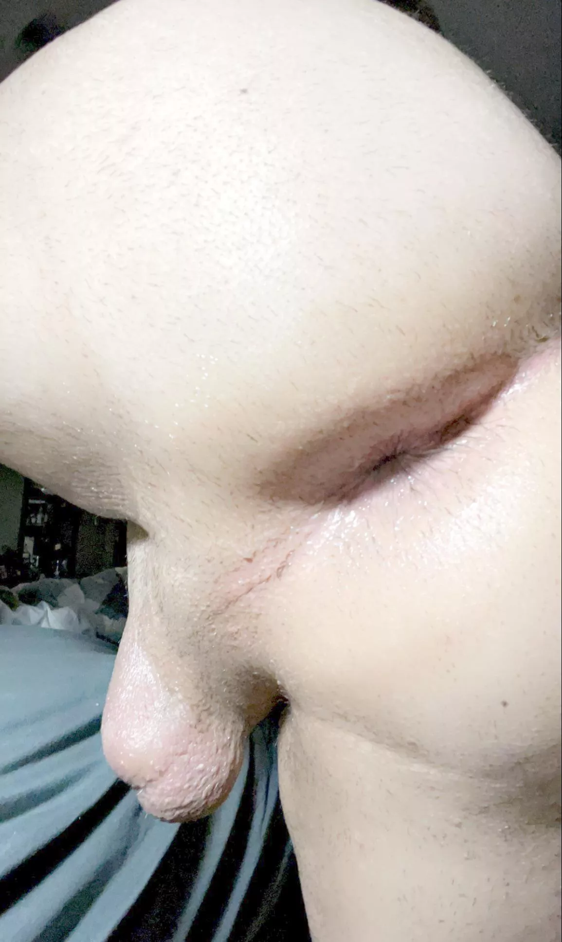 Post shower play! posted by tundyman