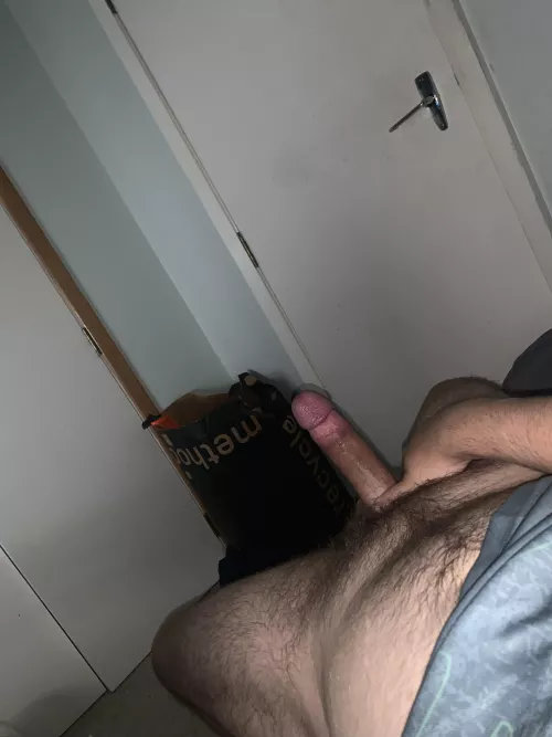 Shining by Born_Bookkeeper_7325