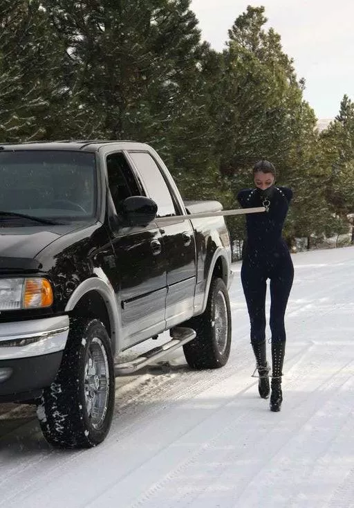 Taking her for a brisk walk while staying comfortable posted by jgoja