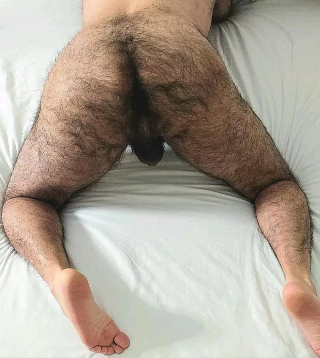 Thick Fur posted by trvl11