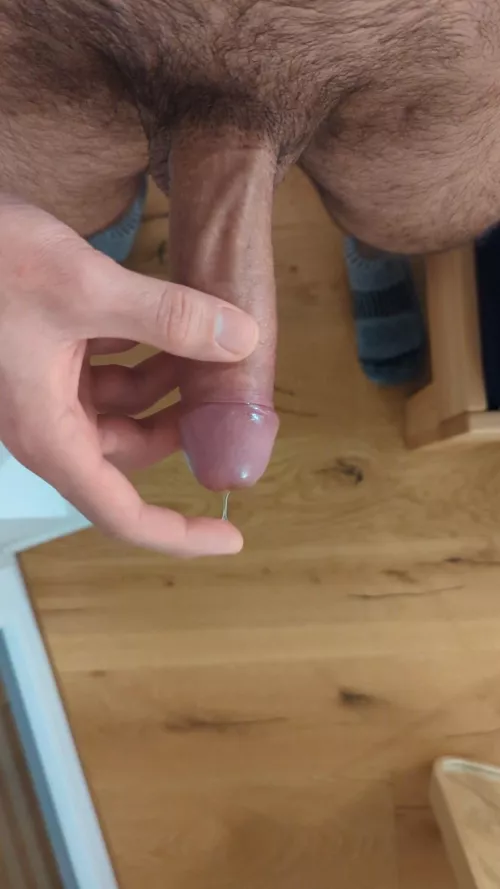 Wannna lick? by gerbori