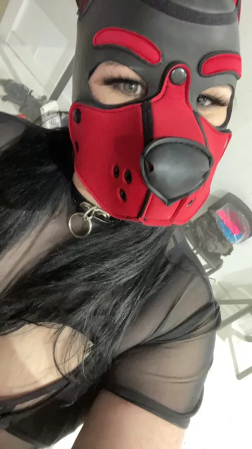 Woof! Daddy let me borrow his hood by YourFireHeart