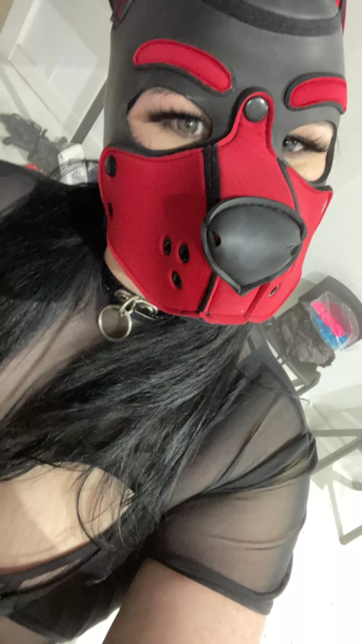 Woof! Daddy let me borrow his hood posted by YourFireHeart