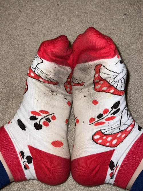 Worn out by penelopes_nectar