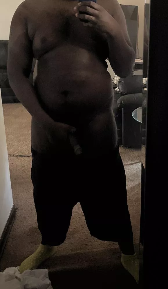 Young black bear posted by Present_Vivid