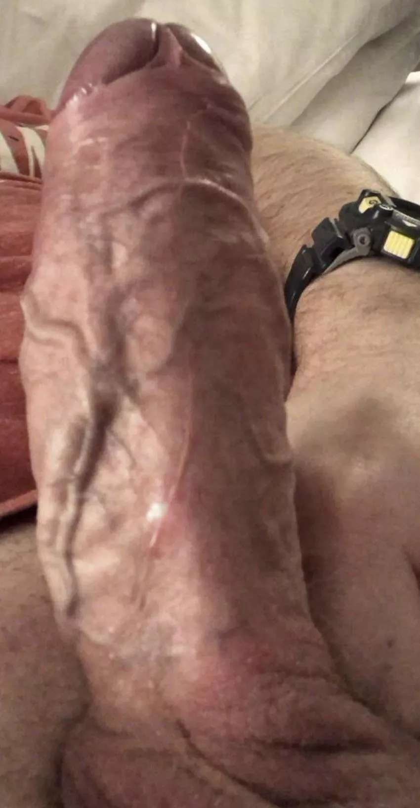 [42] Dad with girth if you like that sort of thing? posted by thickchap