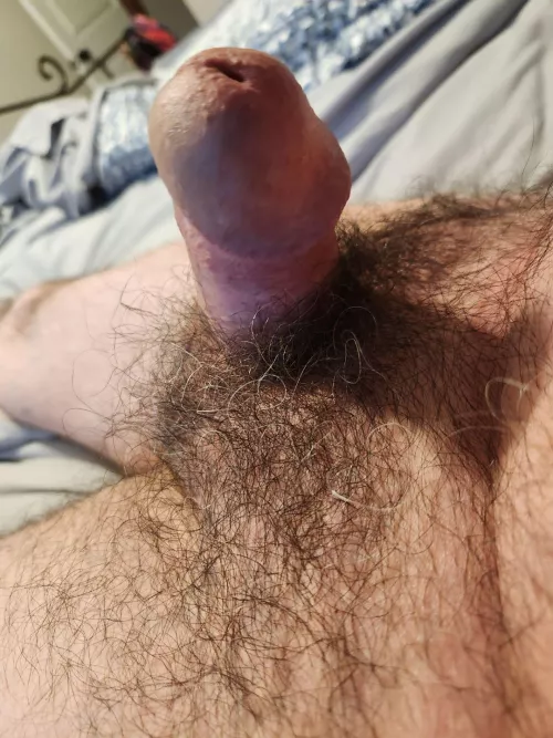 (58) are smaller dicks welcomed...see so many huge ones by greenbluered1234