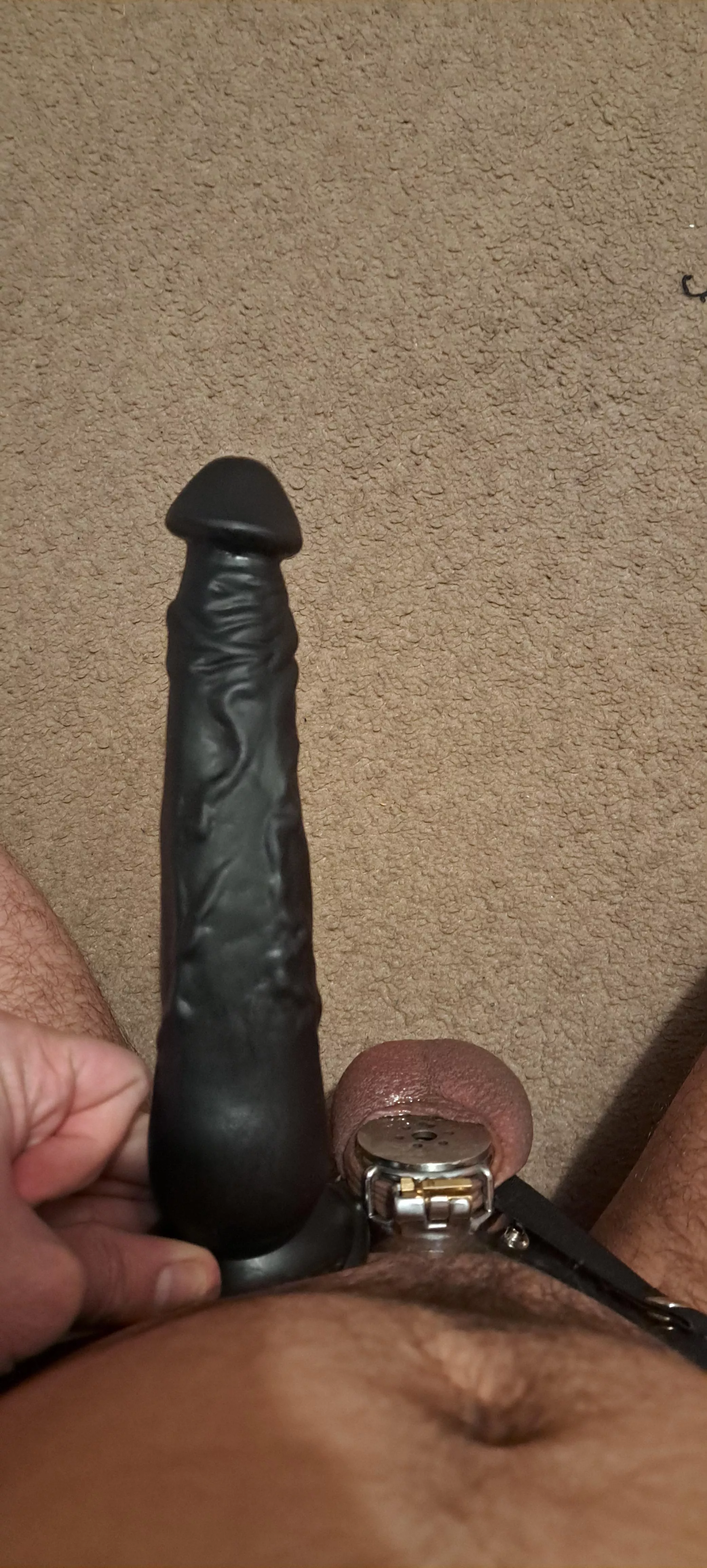 9 inch dildo and a -1 inch dick posted by EnslaveMeToday