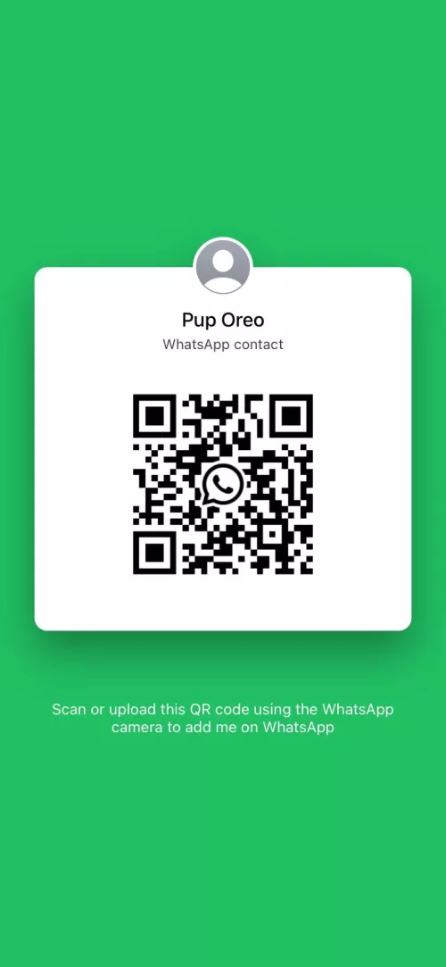 Any pups here have whatsapp? 🐶🐾❤️ by _Obsidian-Oblivion_