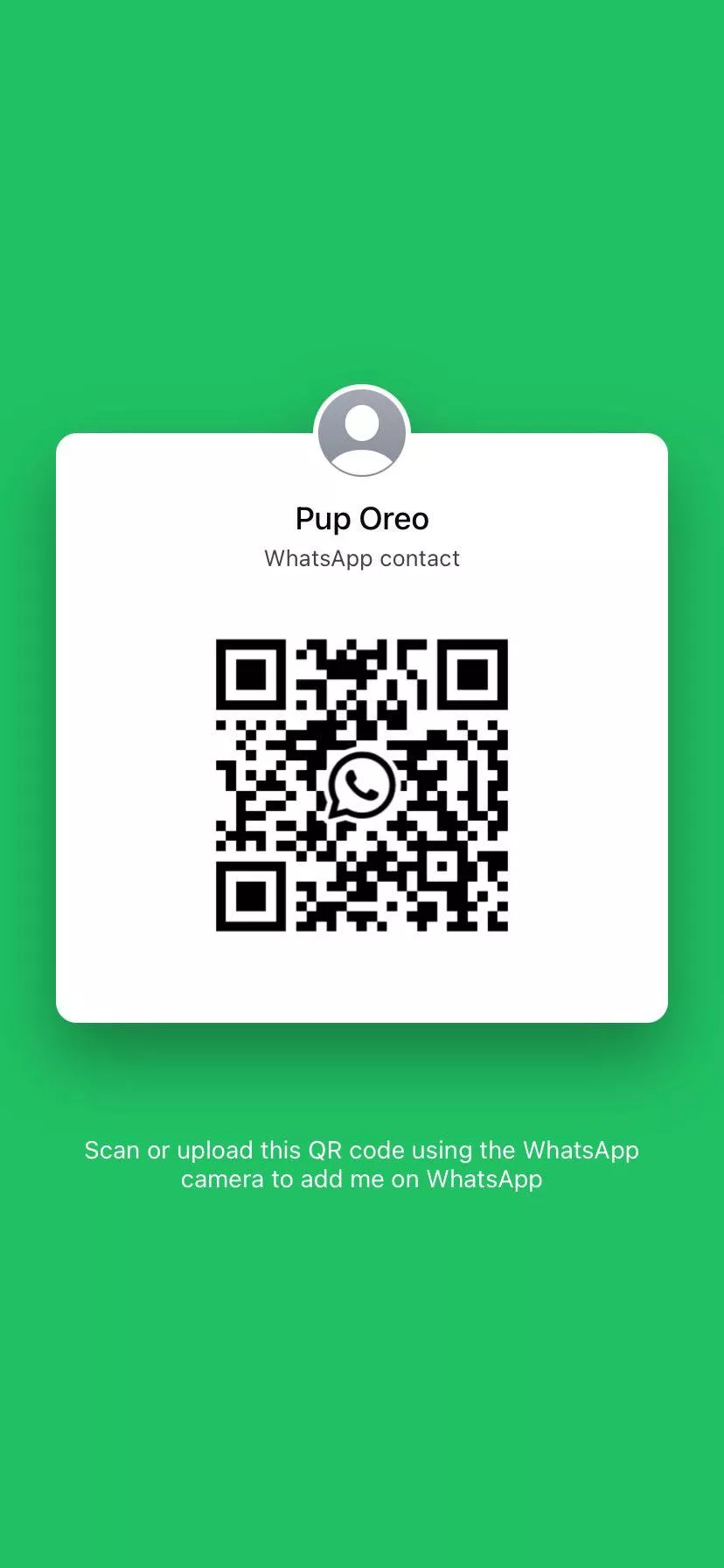 Any pups here have whatsapp? 🐶🐾❤️ posted by _Obsidian-Oblivion_