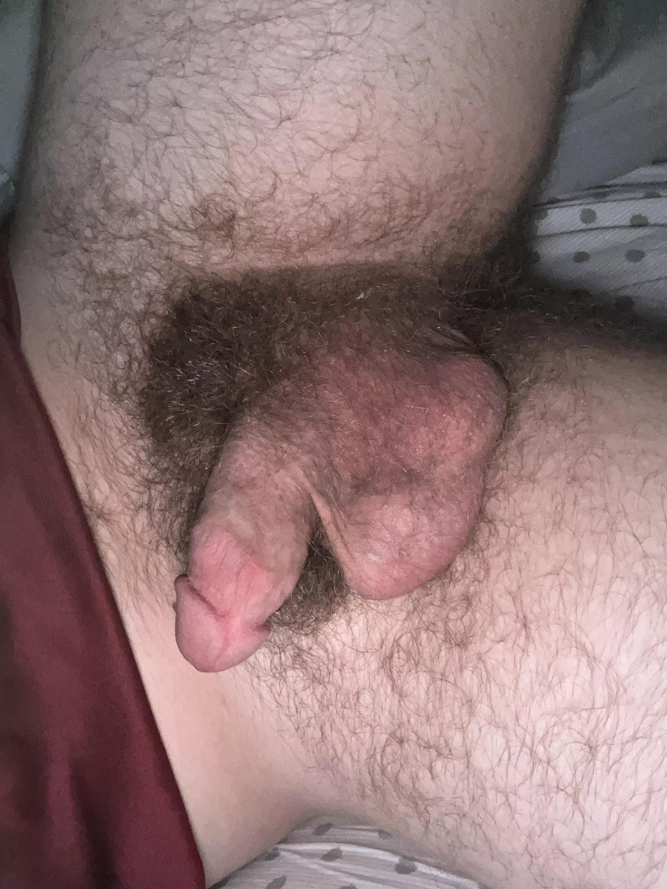Are my pubes adequate?? My DMs are open ;) posted by downcore94