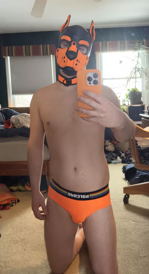 Arwoooo by Olepotato