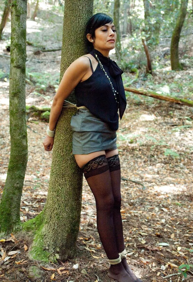 Beretta tree tied posted by jgoja