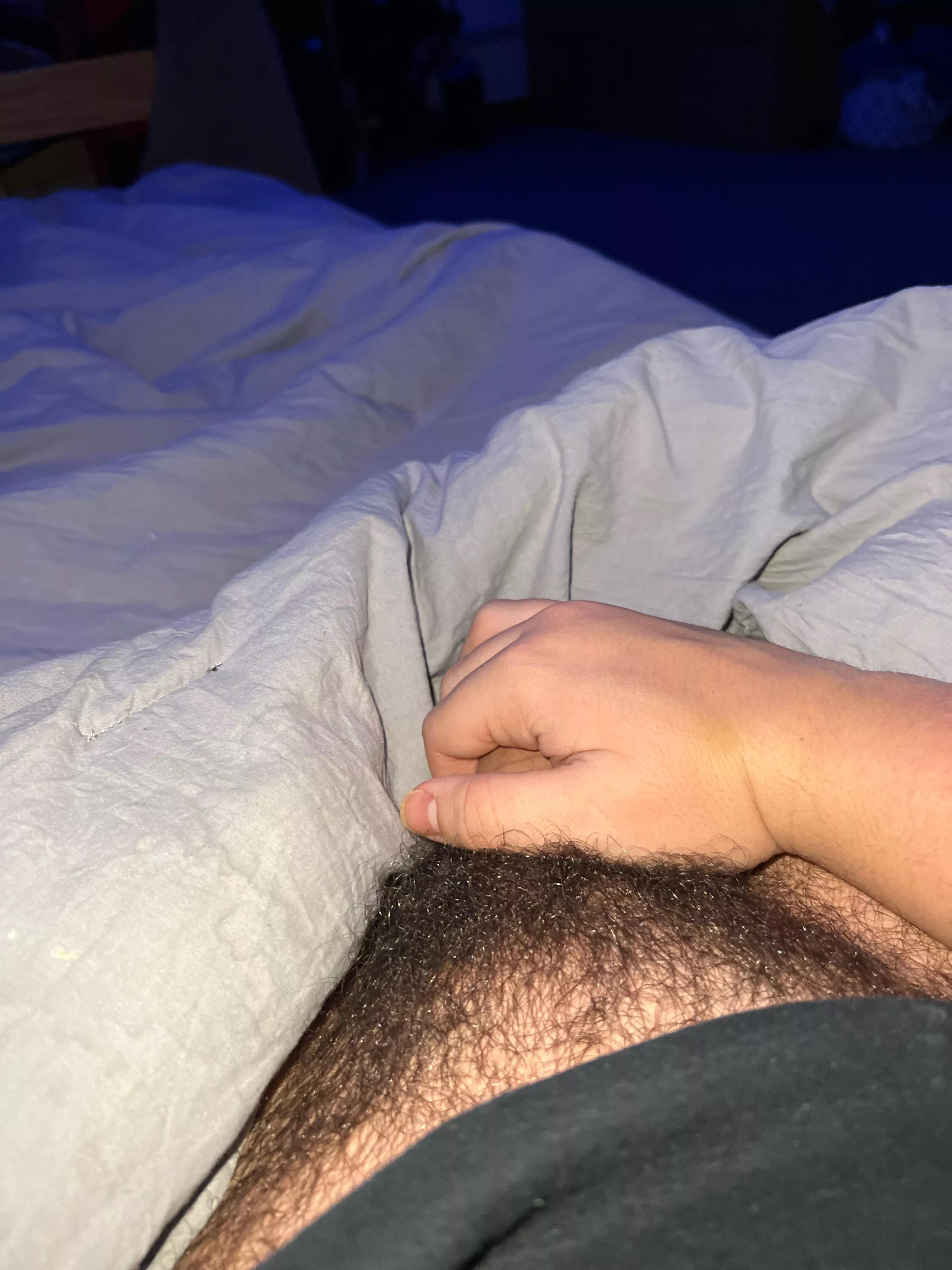 Bush is getting crazy what do I do guys? posted by Desperate_Formal_685