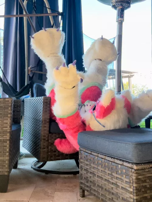 Do you ever look at someone and wonder: “what is going on inside their head?” by Ancient_Summer_1833