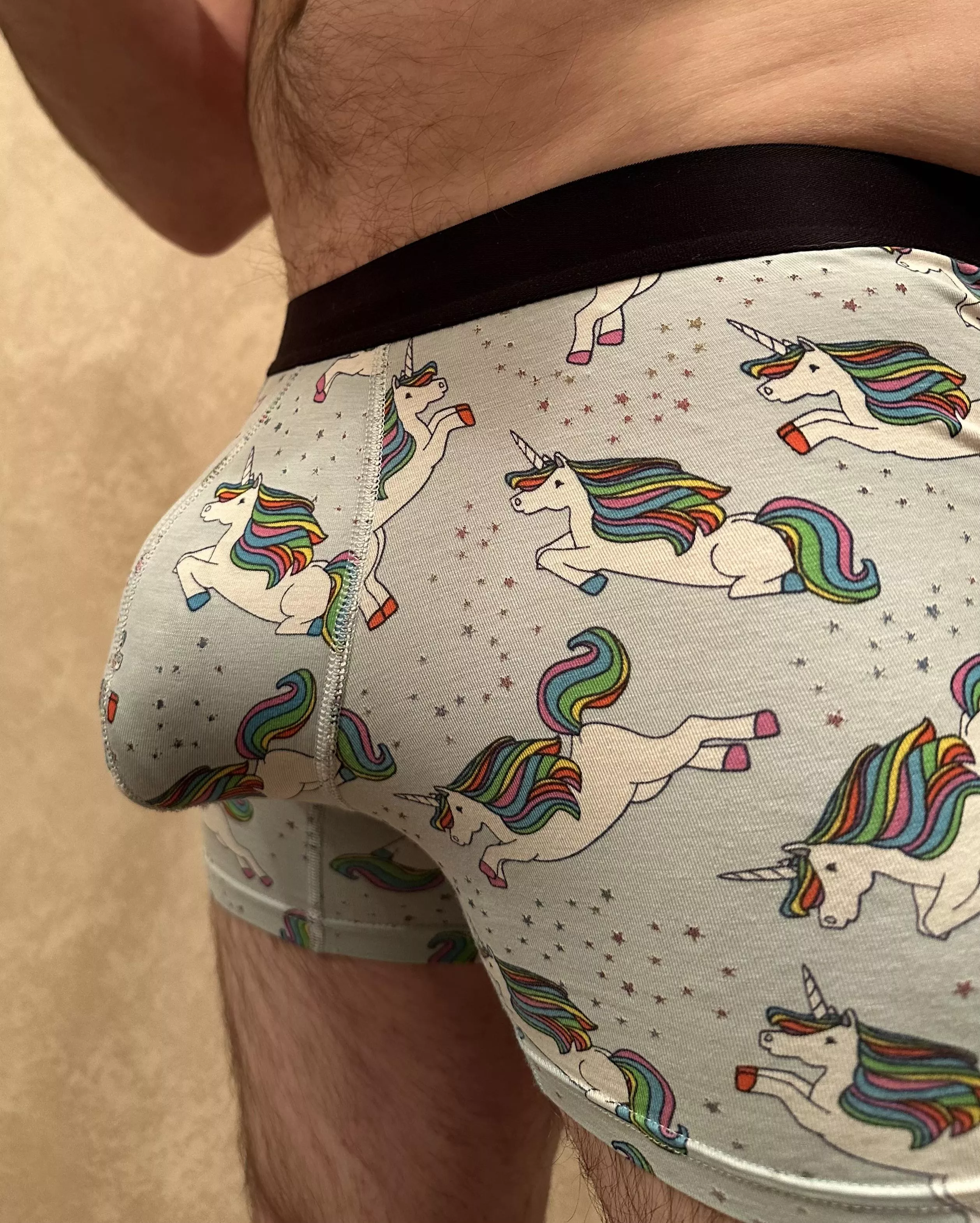 Do you like my unicorns? posted by LonelyPNWBiGuy