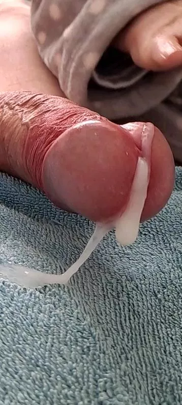 Favourite detail posted by Hour_Tiger_4369